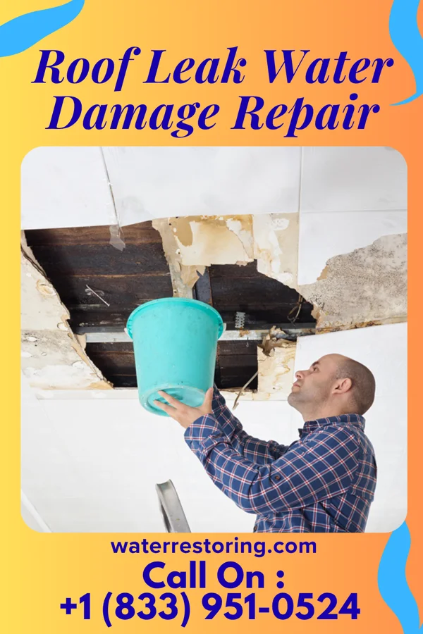 Roof Leak Water Damage Repair in Fountain, MI